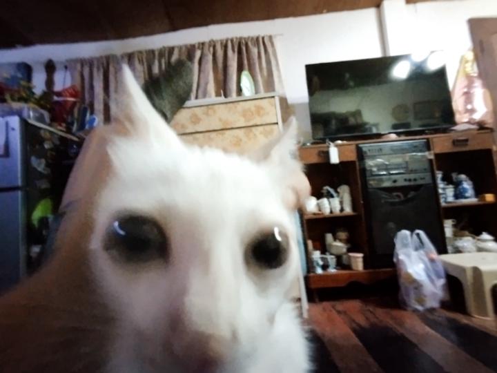 Lucky Donayre