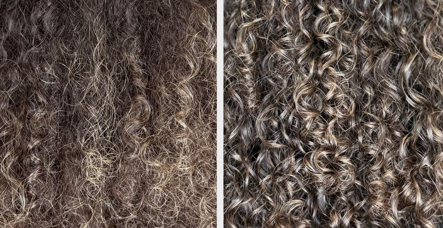 Frizz 101: The Foundation