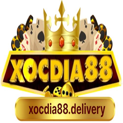 Xocdia Delivery