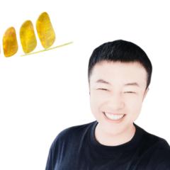 Yongli Wang