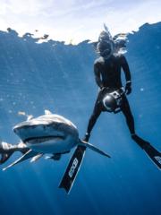 Ani Ostendorff-Ferguson