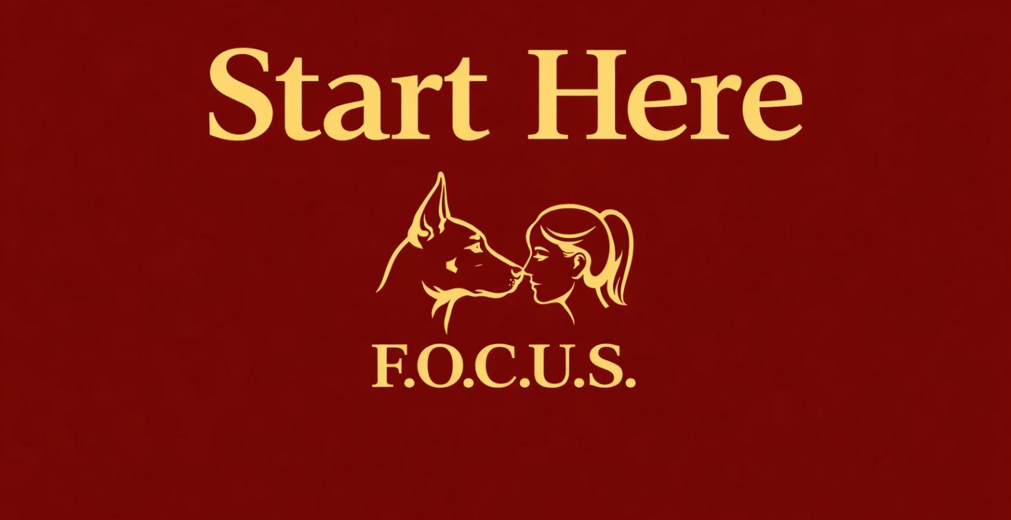 Start Here