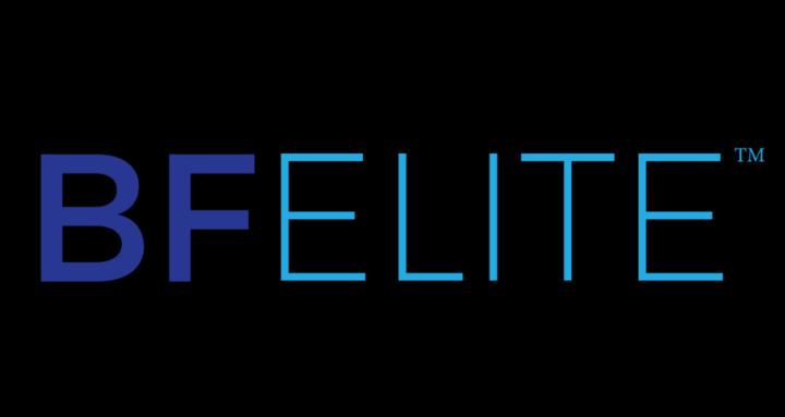 BF ELITE AGENCY (Sales Course)