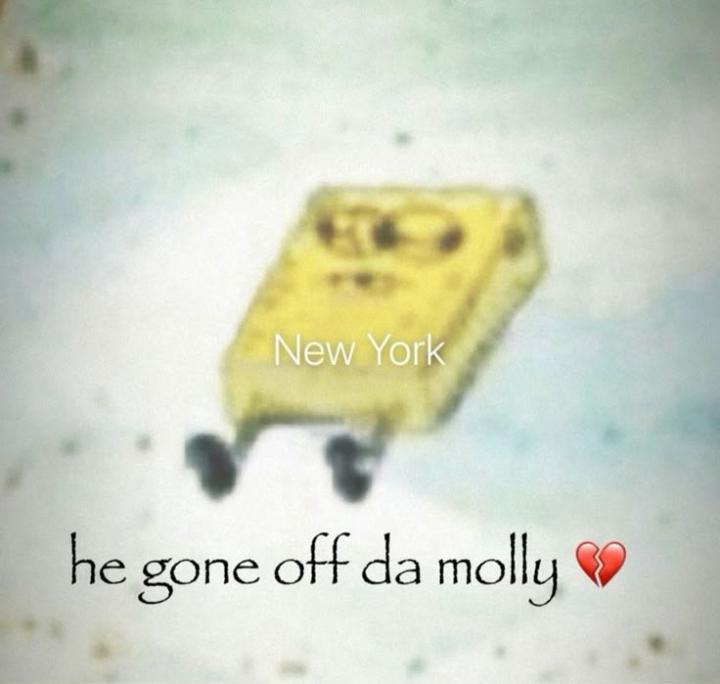 Hala Mohamed Mahmoud