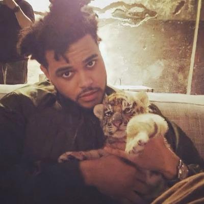 Hala Mohamed Mahmoud