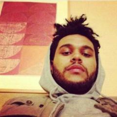 Hala Mohamed Mahmoud