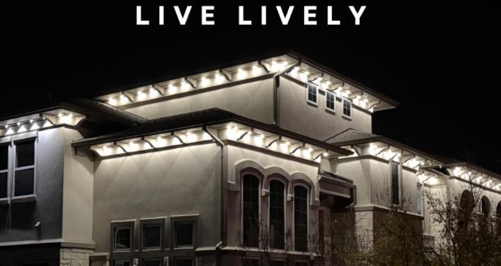 Live Lively