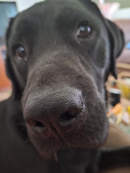 Mary Ellen Piechocki