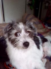 Lucy F