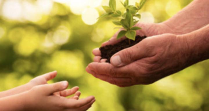 ThresholdLearningHub