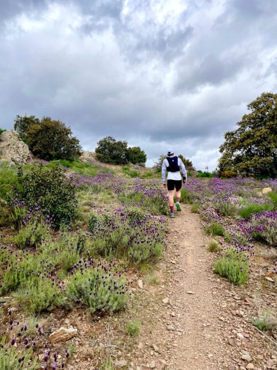 Raul Gallego Laplana