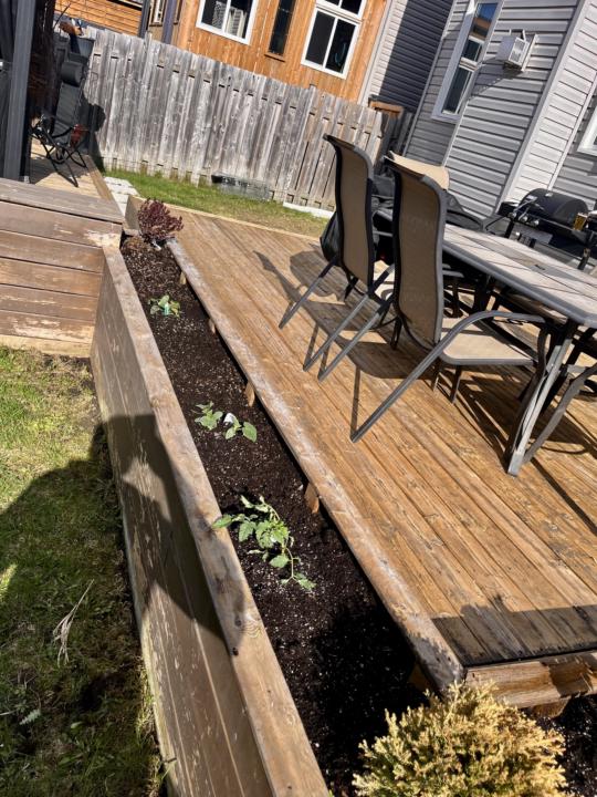 The small and manageable garden 