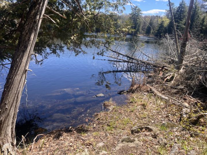 Our camp water access spot