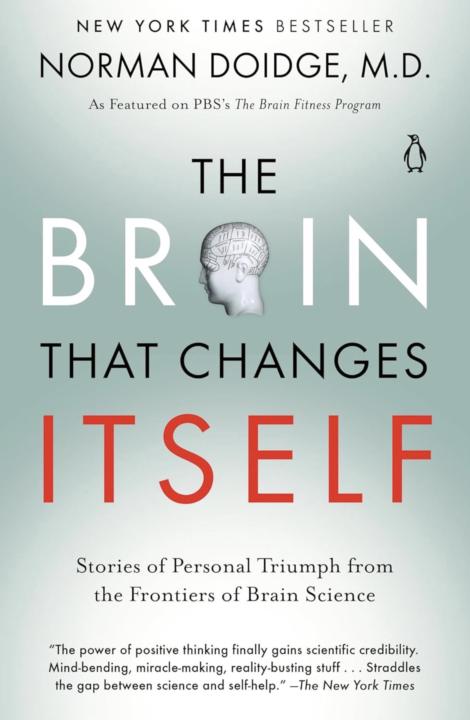 Follow up on brain plasticity 