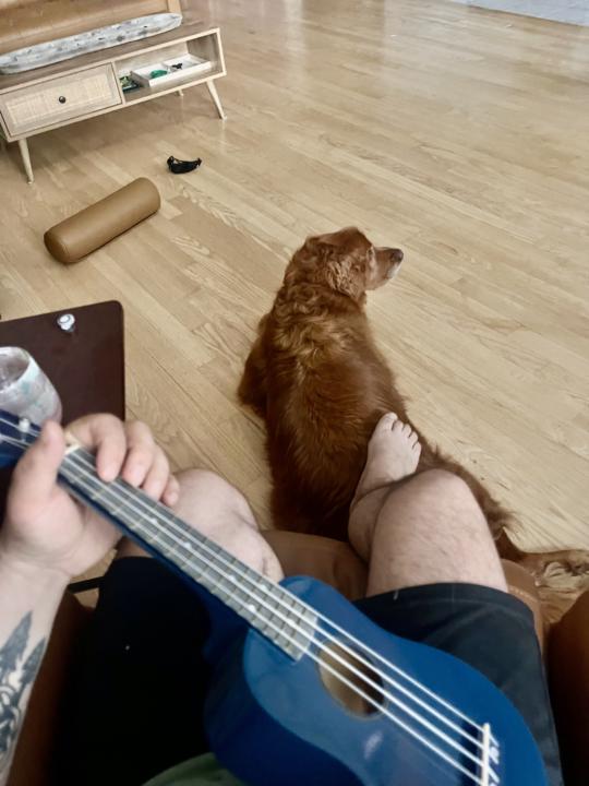 Campfire song progress on the ukulele (even if you’re “musically challenged”)