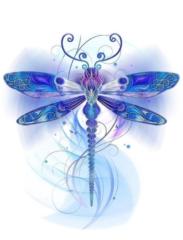 Test Account