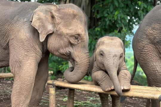 Tour Recommendation - Phuket