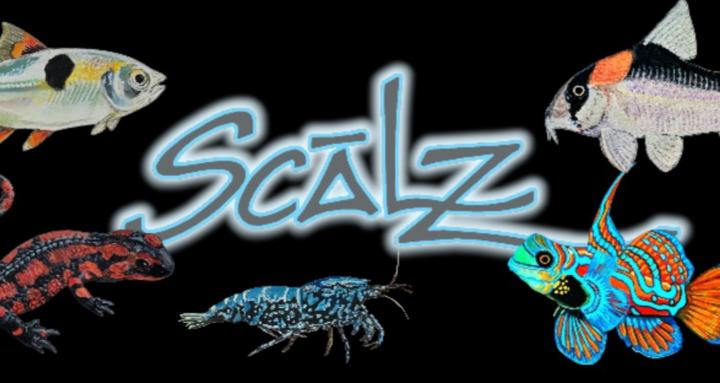 Scālz Nature Art