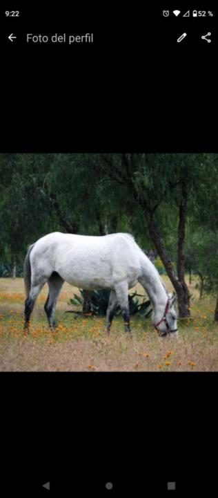 Vaneza Guadalupe Mata Rangel