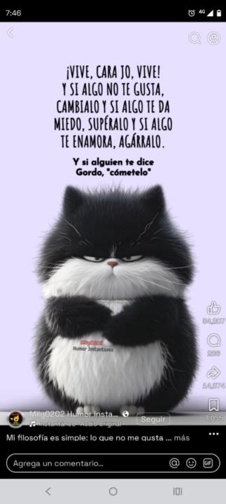 Gaby Gianina Ortiz Romero