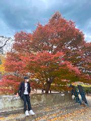 Sang Nguyễn hoàng công