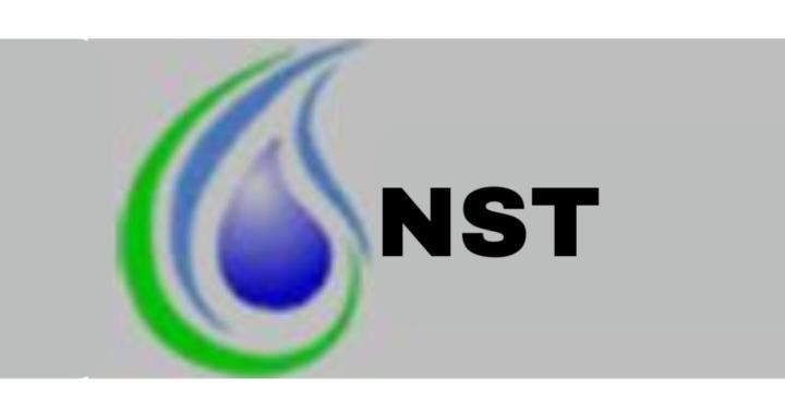 NST Demo