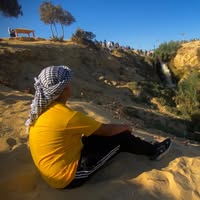 Seif Zaytoon