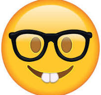 The Nerd