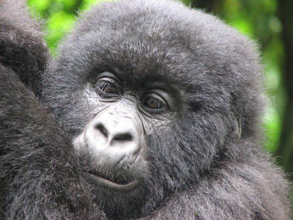 Step One.... DONE!!!