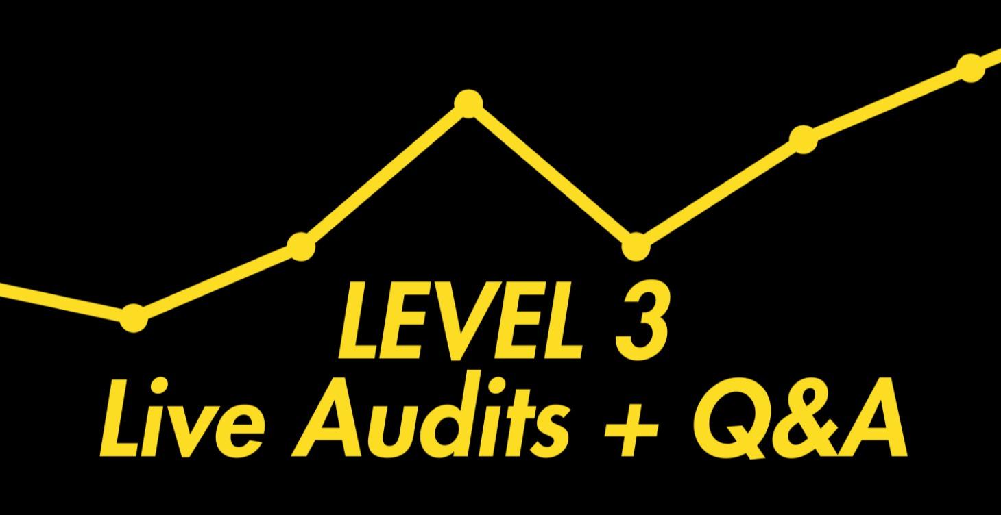 Level 3 - Live Sessions & Audits
