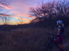 Charlayne Szafranski