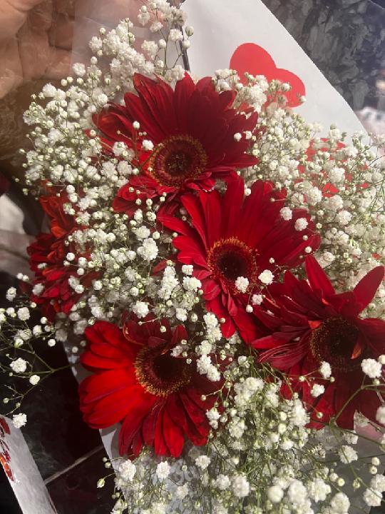 מלאק נסאסרה