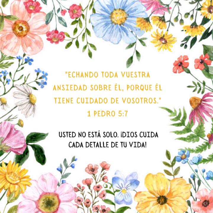 Maria del Pilar Mieses