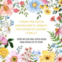 Maria del Pilar Mieses