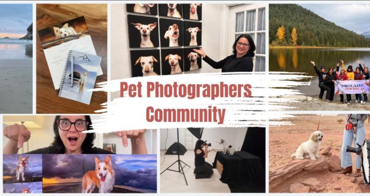 Pet Photographers Community