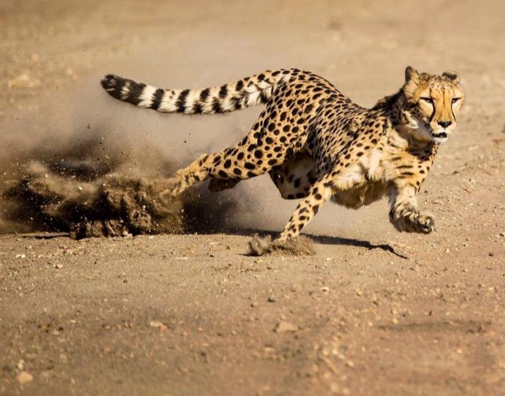 What are possible businesses which will definitely be successful?