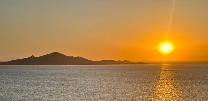 Mari Carmen Sanchez Gomez