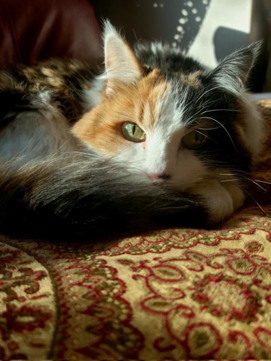 Manuela Gonzalez-Bueno