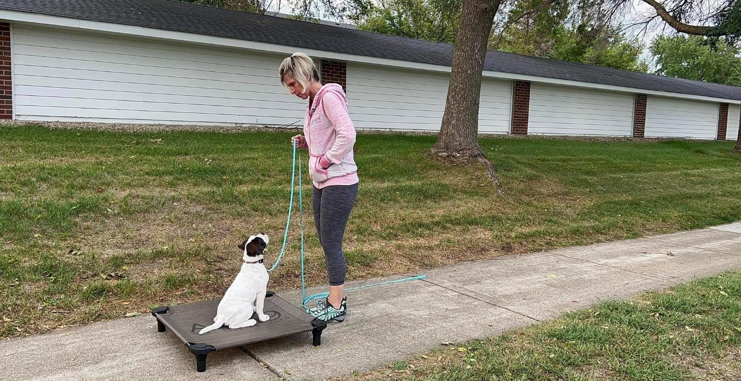 15' line vs a  6' leash