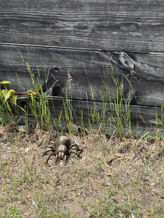 RC spider decoy 