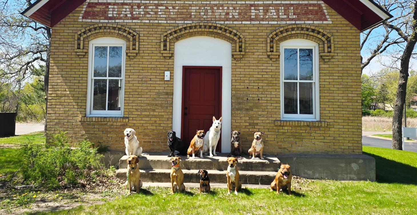 Door Manners & Training