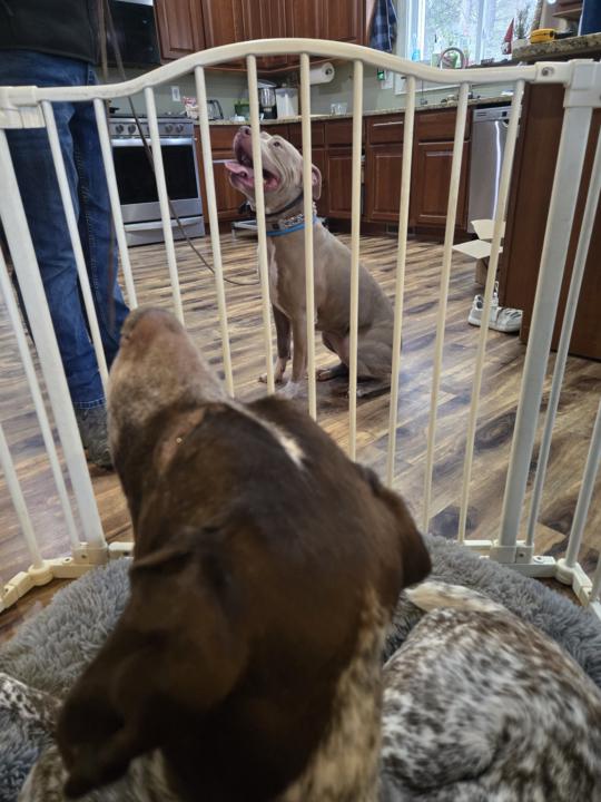 Exposure therapy with Gaia