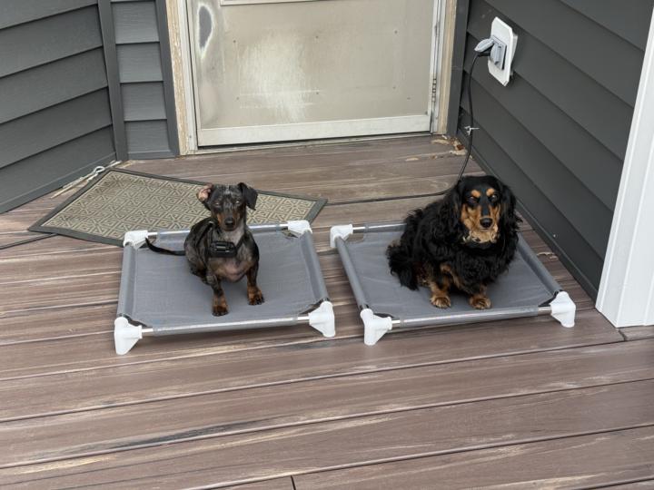 Rye and Dewey