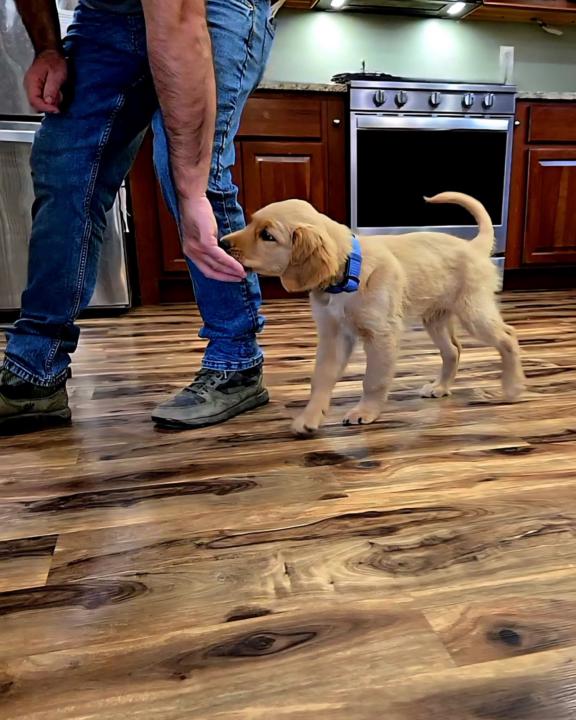 Midweek Check-In: What Are You Working On?