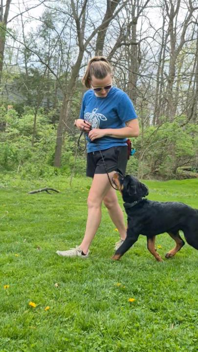 April Dogs - Week 2 Photos