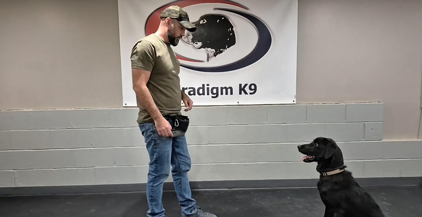 Active Board & Train Clients