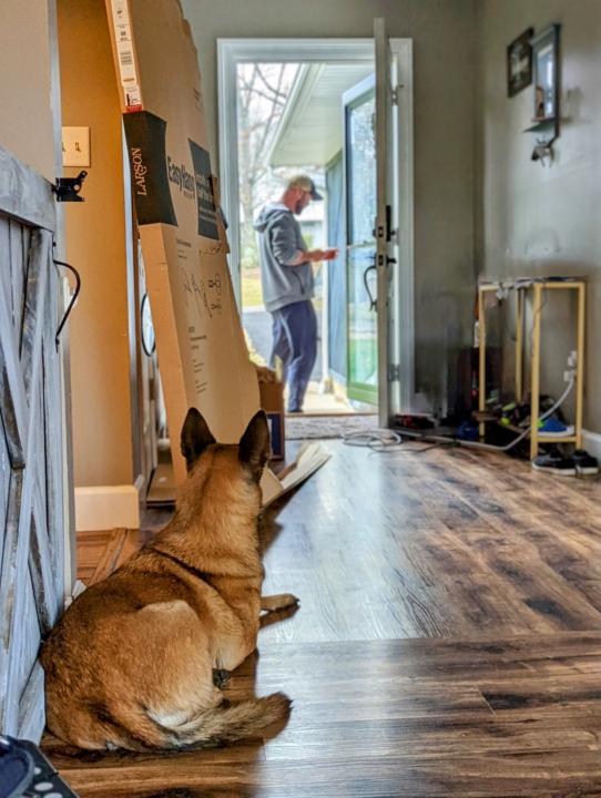 What is proofing and why does it matter