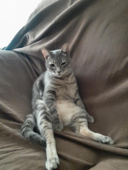 Cristina González Cedres