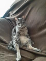 Cristina González Cedres