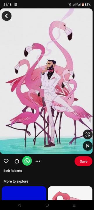 Flamingo Uzumaki